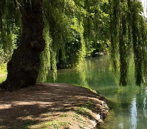 Dufferin Islands Nature Trails | Jewish Niagara